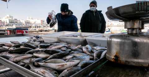 Il mercato ittico di Santo Spirito: l dove si acquista il pesce direttamente da chi lo cattura